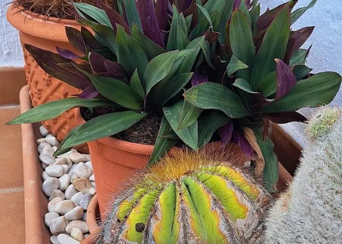 Appartamento Casa Bohemia