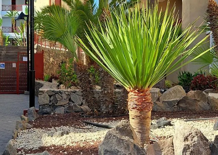 Casa Bohemia Appartamento *