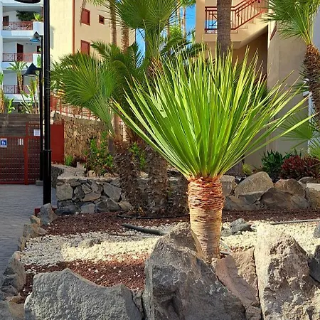 Casa Bohemia Apartamento *